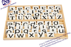 Bảng chữ cái in hoa và in thường MS141