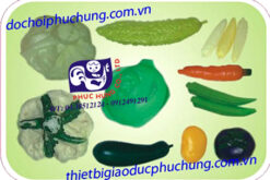 BỘ DINH DƯỠNG 1-PHD01