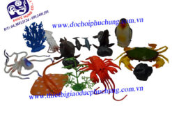 BỘ ĐỘNG VẬT BIỂN-TN35