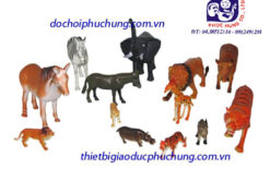 BỘ ĐỘNG VẬT RỪNG-TN01