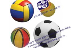 BÓNG THỂ DỤC-NDTH29