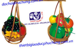 GÁNH TRÁI CÂY-PHD06