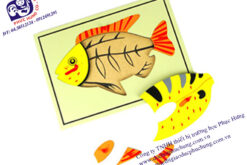 Ghép hình động vật cá MS161-174