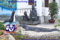 KHU ĐỘNG VẬT BIỂN-TN19