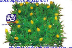 THẢM CỎ HOA-TN10