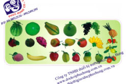 TRÁI CÂY BỐN MÙA-PHD05