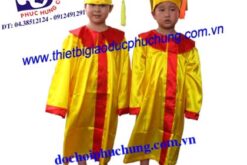 TRANG PHỤC CỬ NHÂN-ANP411