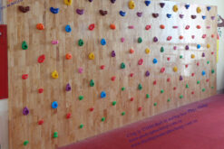 VÁCH LEO NÚI GỖ-PHTC10