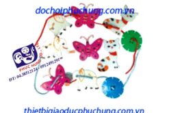 : XÂU CON GIỐNG TO-XH14