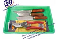 BỘ ĐỒ GIÂM, TRIẾT, GHÉP-NDS034