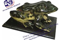 MÔ HÌNH CON ẾCH-NDS004