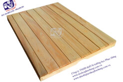 PHẢN NGỦ MẦM NON-GPH6C