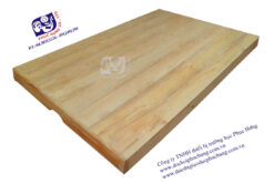 PHẢN NGỦ MẦM NON-GPH6B