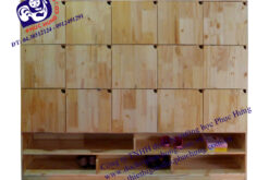 TỦ ĐỂ TƯ TRANG 15 Ô VÀ 2 TẦNG ĐỂ GIẦY DÉP BẰNG GỖ THÔNG-GT26
